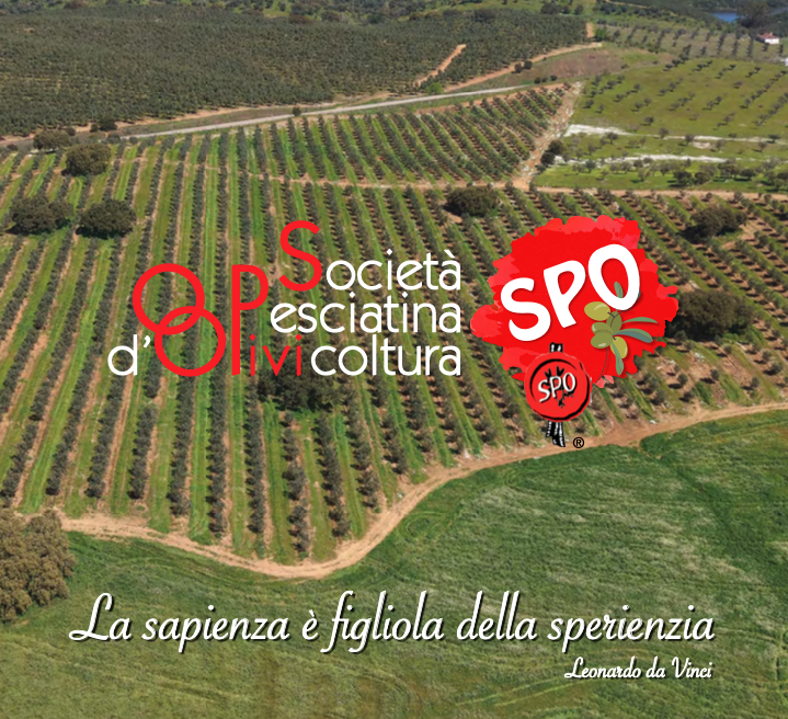 Brochure SPOOLIVI 2026